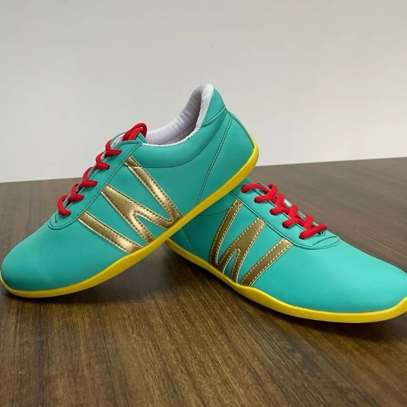 Sapatos profissionais de artes - Women'S Shoes Vs Men'S Size avaliação e preço